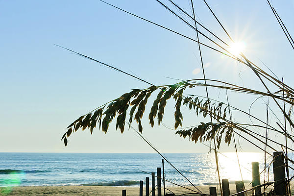 Morning Light 2 Photograph
