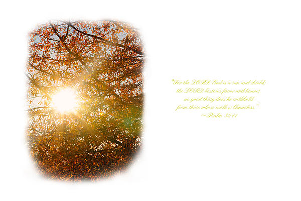 Rays of Light Photograph